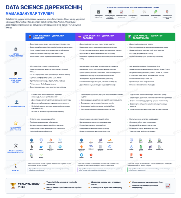 Data Science гидінің превьюі